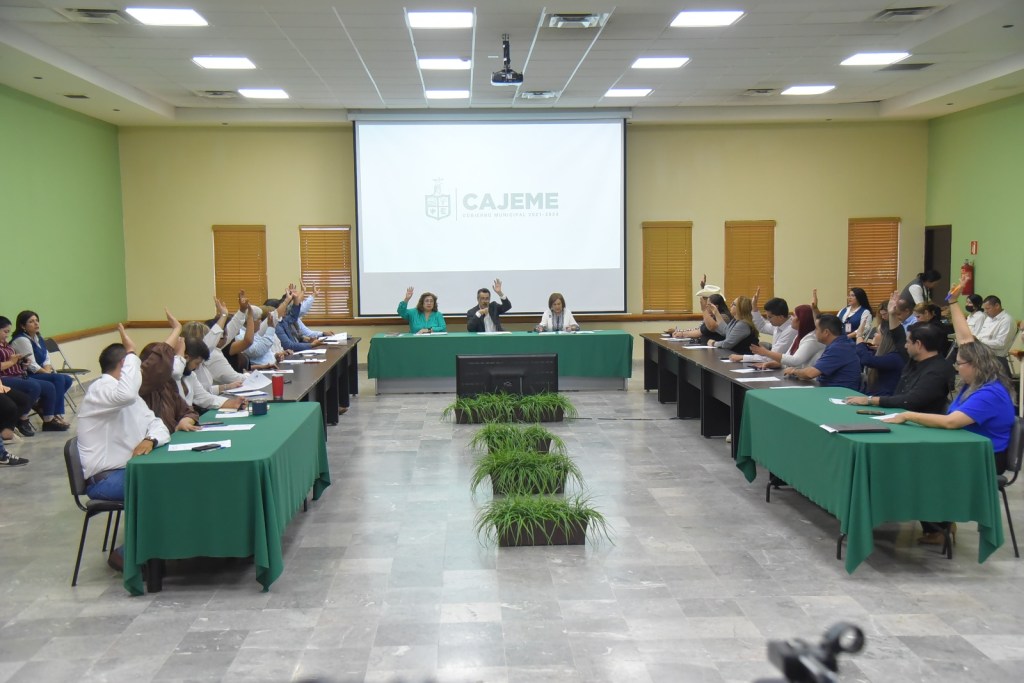 APRUEBA CABILDO REGLAMENTO DEL CONSEJO PARA LA PREVENCIÓN Y ATENCIÓN DE LA VIOLENCIA FAMILIAR Y DE&nbsp;GÉNERO