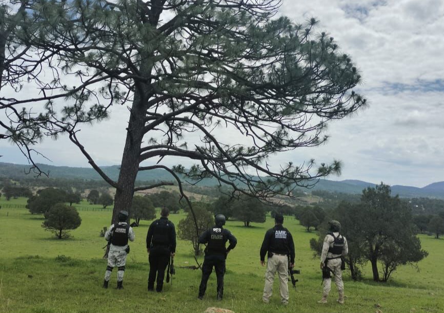 Aseguradas y desinstaladas cámaras de video clandestinas en&nbsp;Yécora