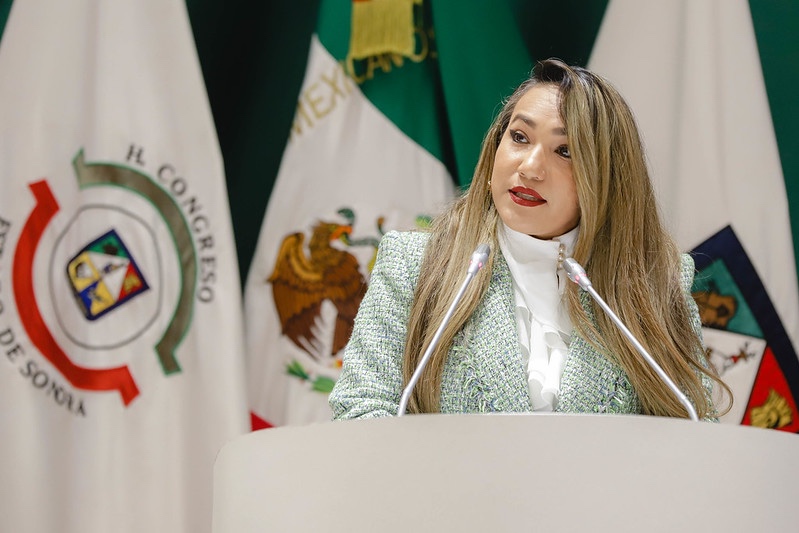 Diputada Claudia Bours propone la pérdida de la patria potestad en casos de violencia&nbsp;vicaria