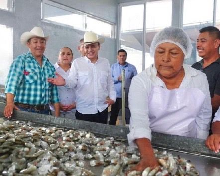 Gobernador Durazo posiciona a Sonora como líder nacional en producción de&nbsp;camarón