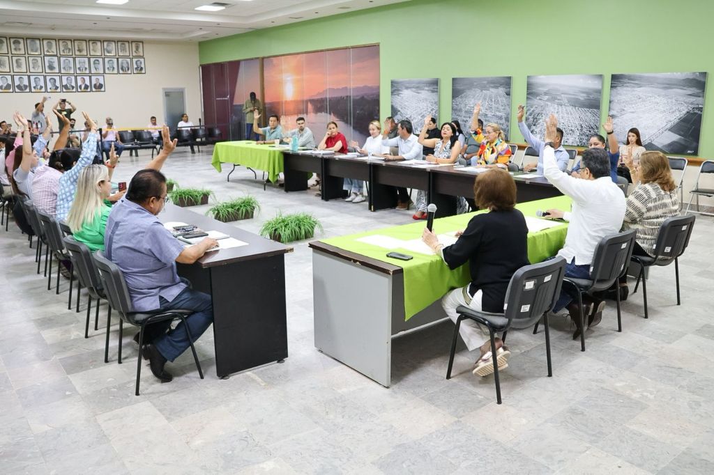 APRUEBA CABILDO INSTALACIÓN DEL COMITÉ MUNICIPAL DE SALUD MENTAL Y&nbsp;ADICCIONES