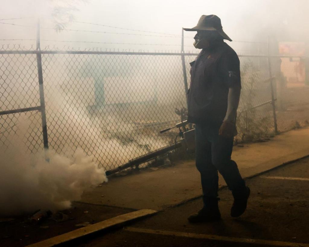 Mantiene Salud Sonora vigilancia y acciones de control del dengue en&nbsp;Sonora