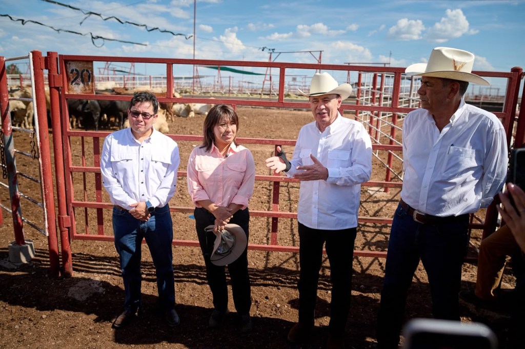 Sonora reactiva exportación de ganado a EU; gestiones de Sheinbaum y Durazo abren la frontera